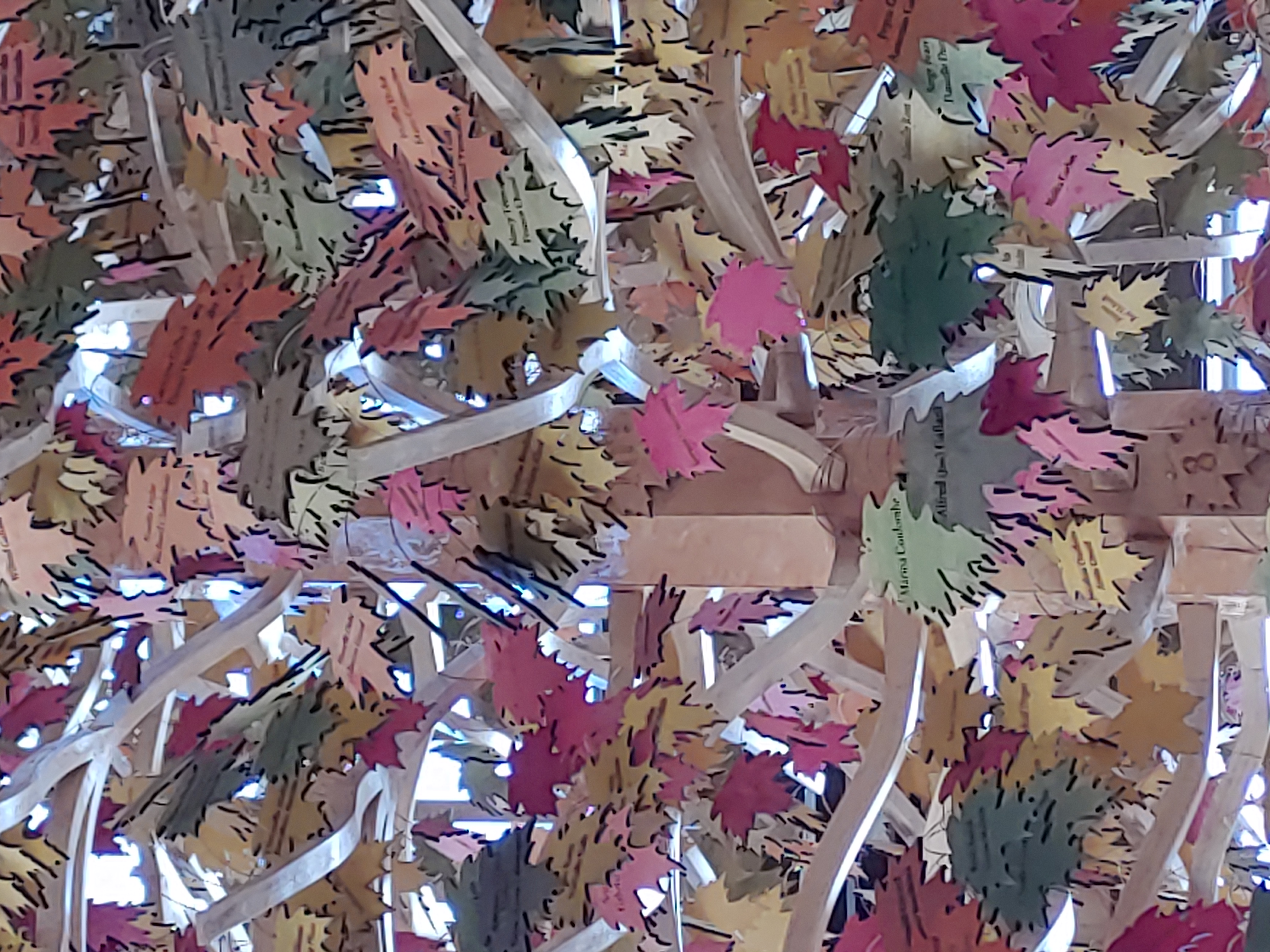 Feuille